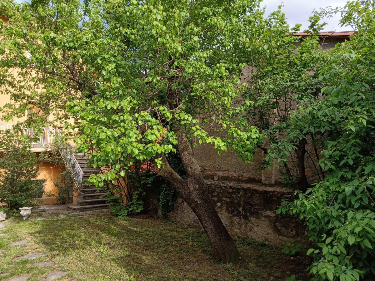 Apartment El Jardi De Prat Ripoll
