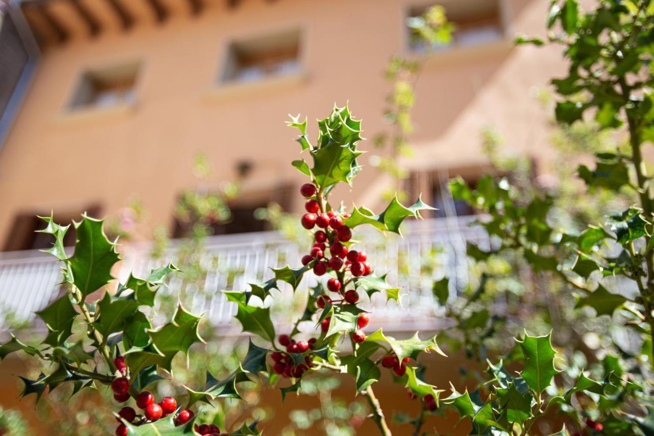 Apartment El Jardi De Prat Ripoll